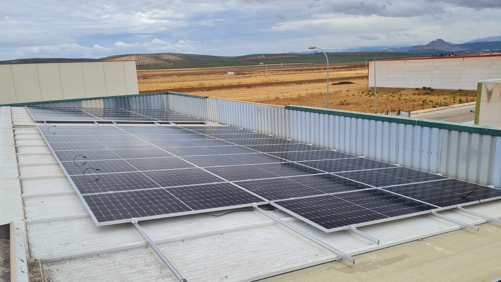 Paneles solares en línea en un tejado