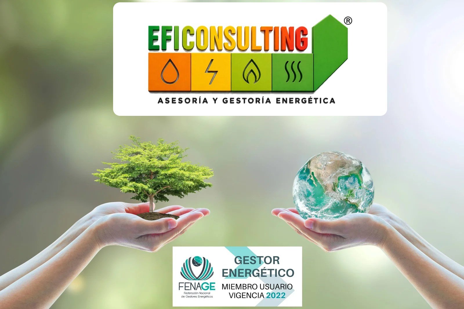 Logo de Eficonsulting y manos sosteniendo un árbol y el planeta tierra con el logotipo de Fenage en el centro